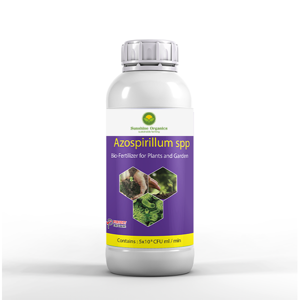 Azospirillum