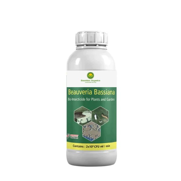 Beauveria Bassiana