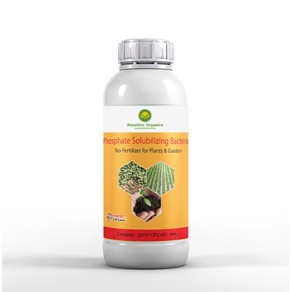 Phosphate solubilizing bacteria
