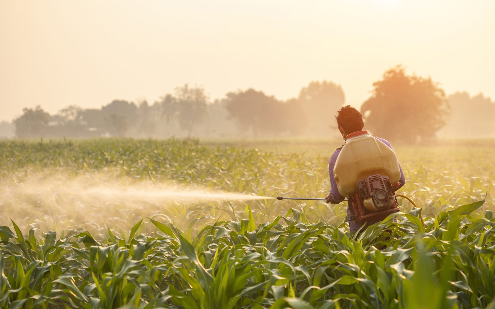 Choosing the Right Fertilizer Brand: A Comprehensive Guide